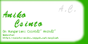 aniko csinto business card